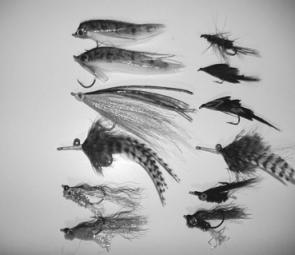 Some of the author’s favourite golden perch flies: Bass Vampires, Clousers, Mrs Simpsons and other goldfish, yabby, frog, mudeye and shrimp patterns. 